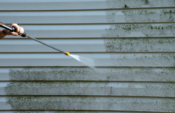 Best Driveway Pressure Washing  in Mexia, TX